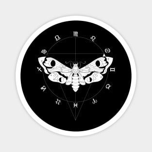 Deaths Head Moth - White 2 Magnet
